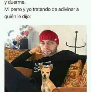 Meet your Posher, Fer